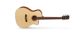 Cort GA-FF-NAT-Bag Grand Regal Series