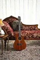 Классическая гитара Cort LUXE Nylon Frank Gambale