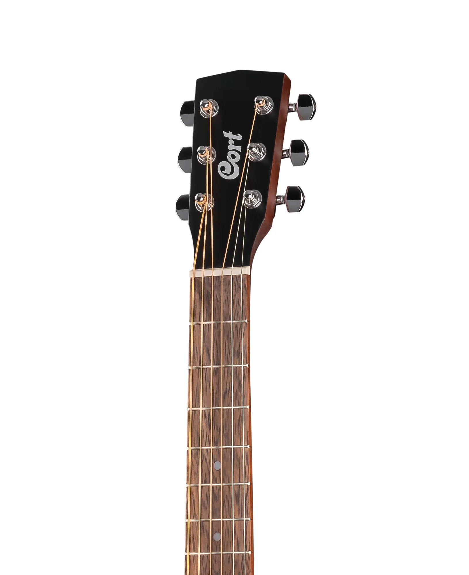 CORT Gold-A8-WCASE-NAT
