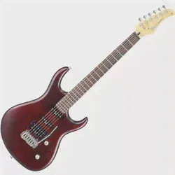 Гитара Cort G254-0