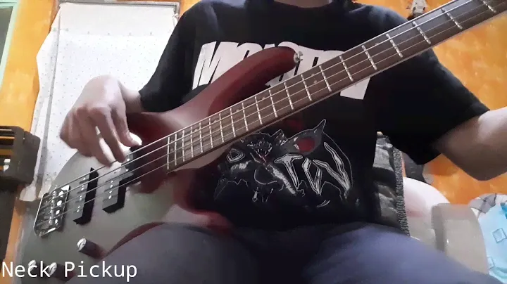 Cort Action PJ Bass Soundtest!