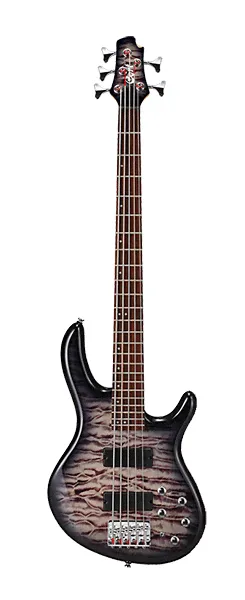 Action-DLX-V-Plus-FGB Action Series Cort