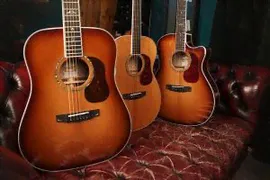 Акустическая гитара Cort Gold-D8