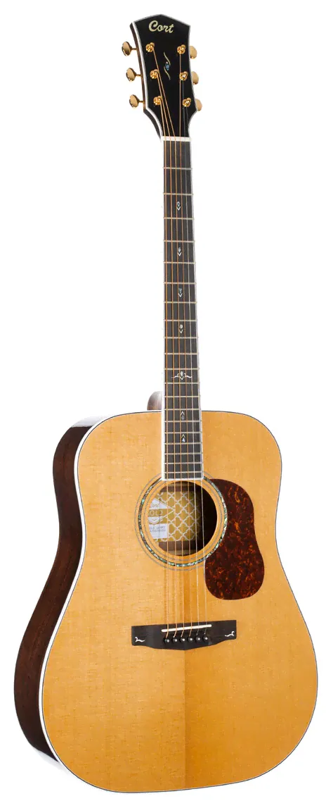 Акустическая гитара CORT Gold-D8-WCASE-NAT