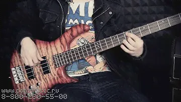CORT ACTION DLX