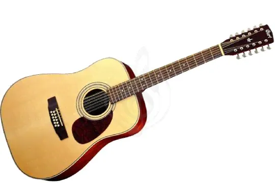 Cort EARTH70-12E OP-2