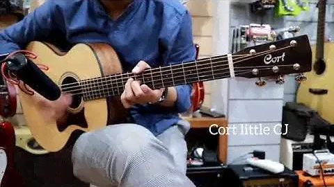 Cort Little CJ Comparison V Taylor GS Mini E Walnut