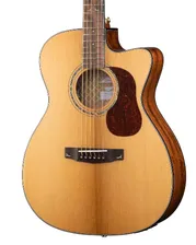 CORT Gold-OC6-WCASE-NAT