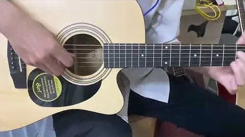 Acoustic Cort AD880ce