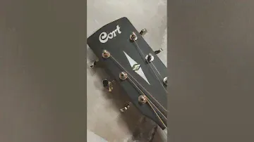 Cort L300V-NAT 🖤