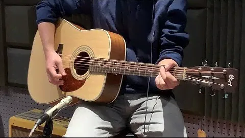 CORT EARTH 70 SOUND TEST (No Effect!)