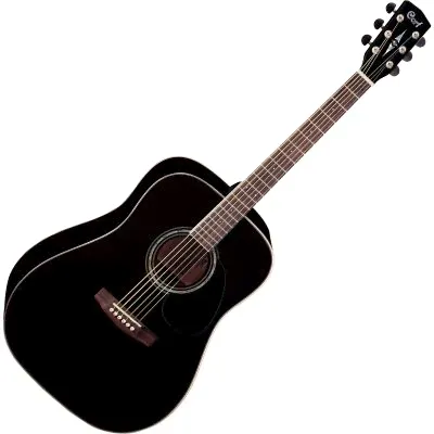 Дредноут Cort EARTH100-BK Earth Series-0