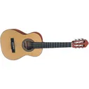 Cort Cort AC50 w bag OP