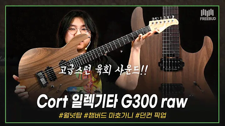 [투데이즈기어] 던컨 픽업 장착! Cort G300 raw