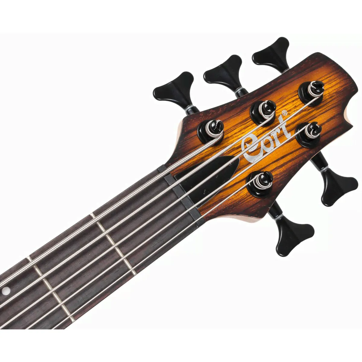 Cort Cort C5-Plus-ZBMH-TBB-2