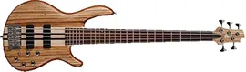 Бас-электрогитары CORT A5-Custom Z E-Bass 5-String