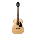Гитара акустическая Cort Standard Series AD880-NS