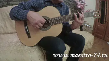 Классическая гитара Cort AC100 SG