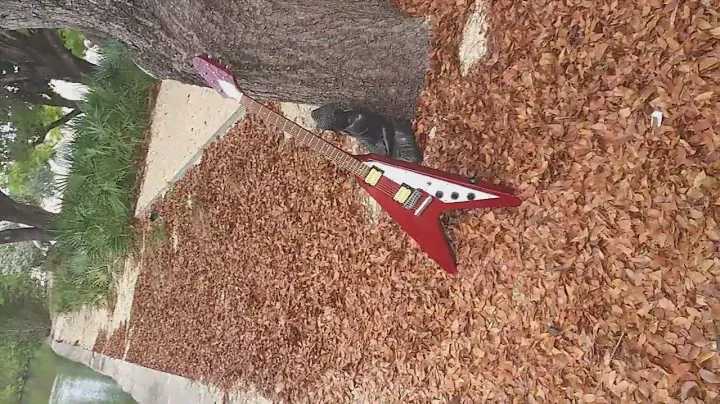 Cort Flying V III