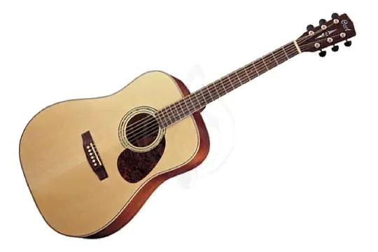 Cort EARTH100-NS