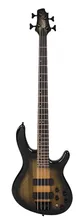 C4-Plus-ZBMH-TBB Cort