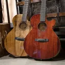 Cort Cort SFX-Myrtlewood-NAT