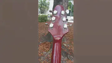 Cort Flying V IV