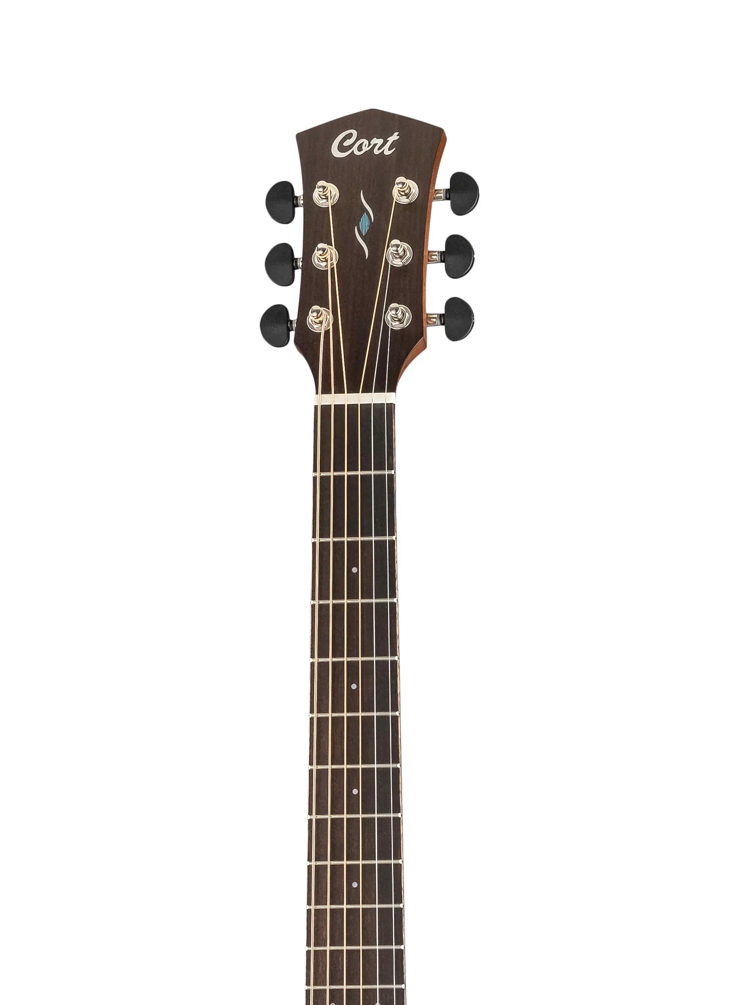 CORT CORE-DC-AMH-OPBB Core Series-4
