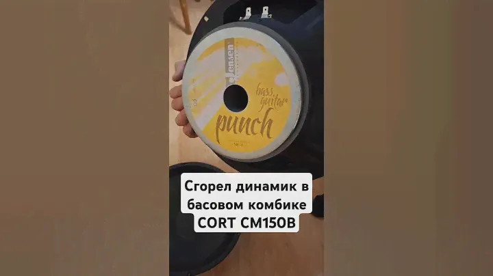 Сгорел динамик в бас-гитарном комбоусилителе CORT CM150B.
