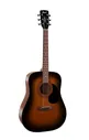 AD810-SSB Standard Series Cort