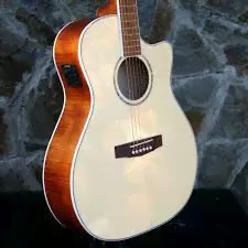 Cort Cort GA-FF-NAT