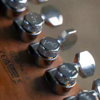 Cort G290 FAT II