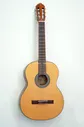 AC100-SG Cort
