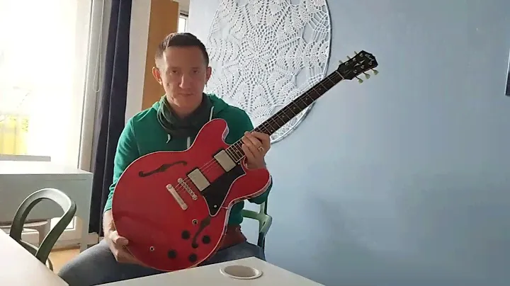 Cort Source semi hollow body