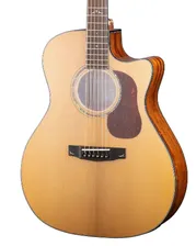 CORT Gold-A6-WCASE-NAT