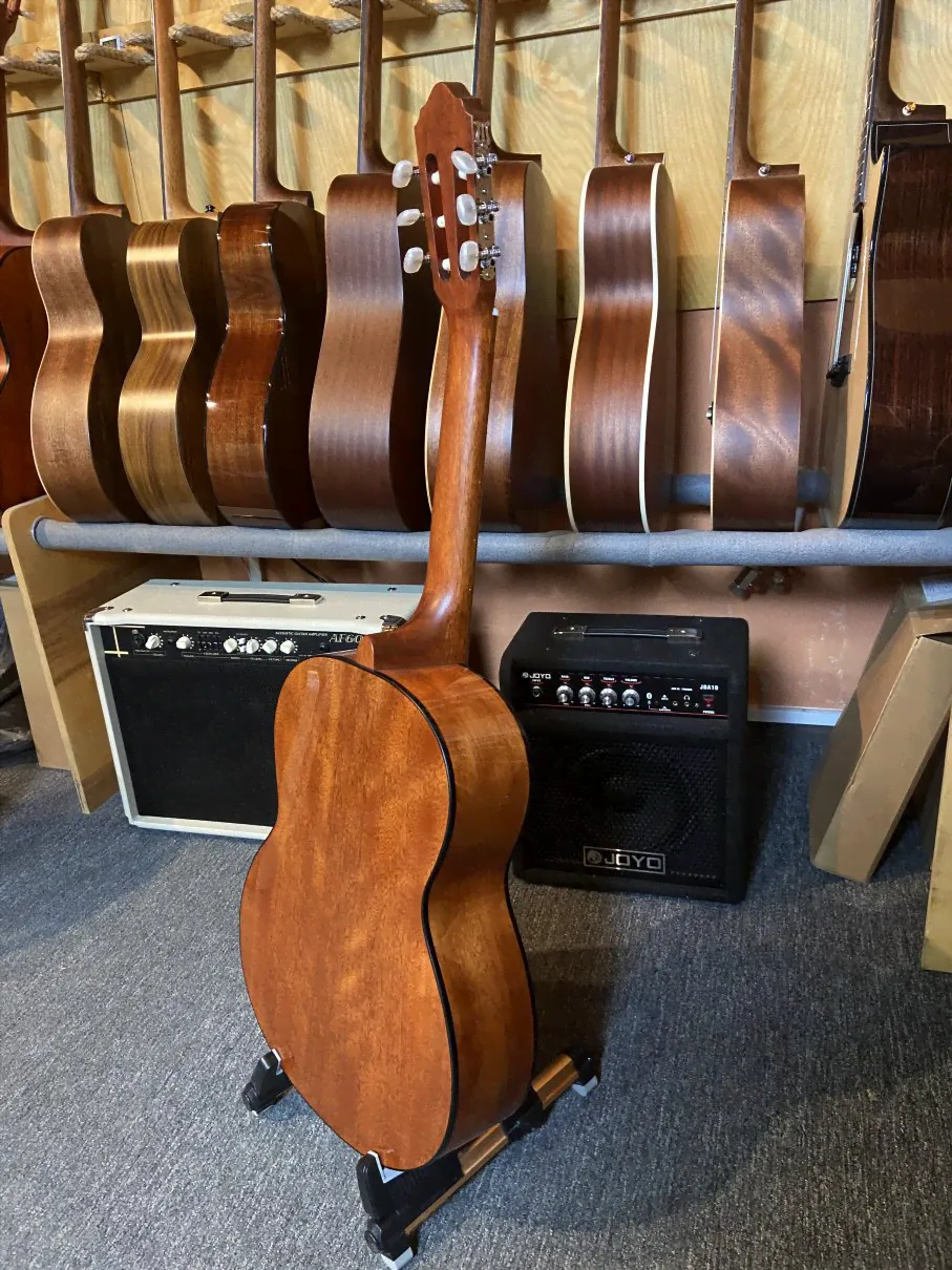 AC100-SG Классическая гитара, Cort-3
