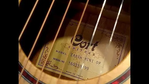 Cort Earth Mini F   Acoustic Electric With Fishman