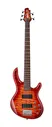 Action-DLX-V-Plus-CRS Action Series Cort