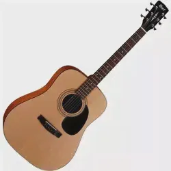 Гитара Cort AD810-0