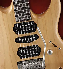 Cort Viva Gold-II NS