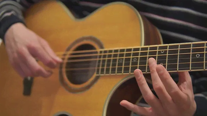 Acoustic Ambient Baritone Guitar - Cort NDX demo
