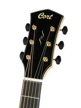 Cort Gold-Passion-WCASE-NAT Gold Series