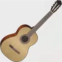 Гитара Cort AC10