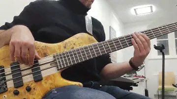 Dimitar Bonev - CORT A5 PLUS SC BASS