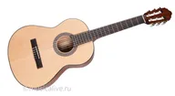CORT CORT AC70-OP
