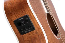 Cort AB590MF (Open Pore)