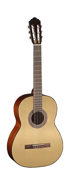 AC100-OP Classic Series Cort-0