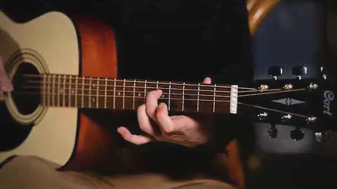Cort AF510 OP / Cort Guitar